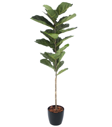 Jeune ficus lyrata artificiel