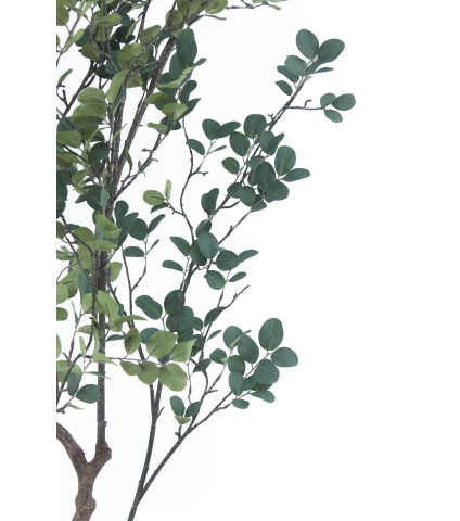 Myrte artificiel