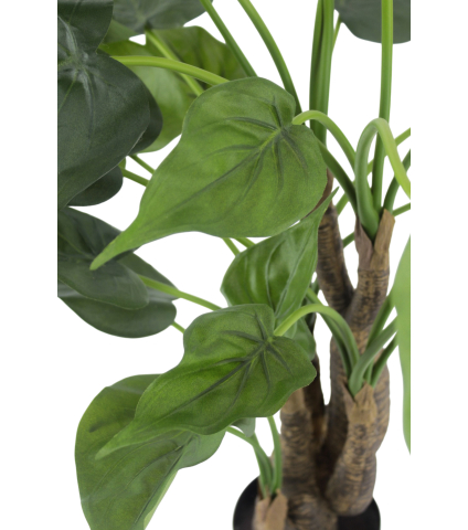 Alocasia cucullata artificiel