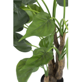 Alocasia cucullata artificiel