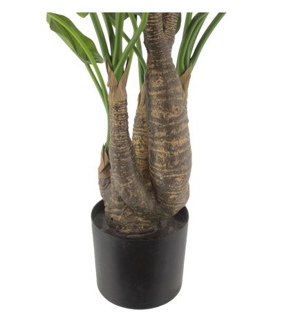 Pot