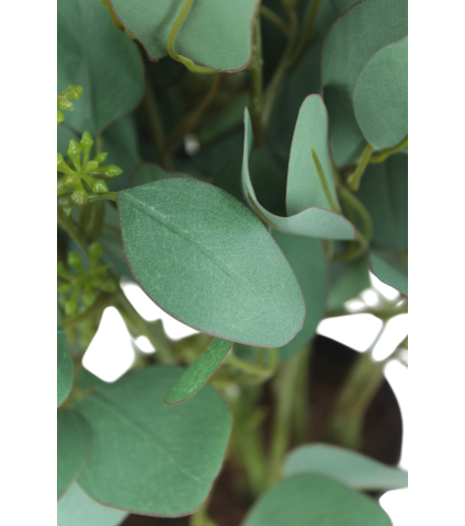 Eucalyptus gunnii artificiel en fleurs