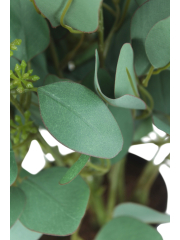 Eucalyptus gunnii artificiel en fleurs