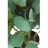 Eucalyptus gunnii artificiel en fleurs