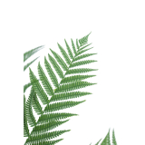 Fougère arborescente artificielle