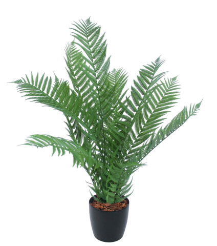 Fougère arborescente artificielle