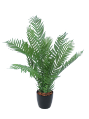 Fougère arborescente artificielle
