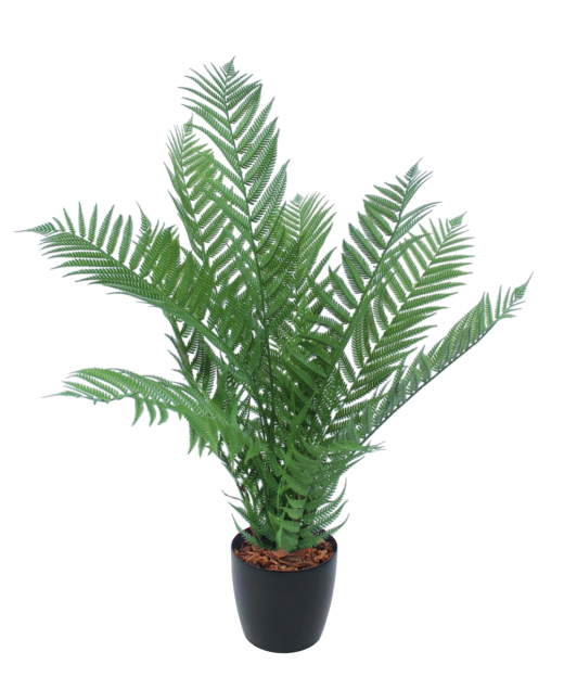 Fougère arborescente artificielle