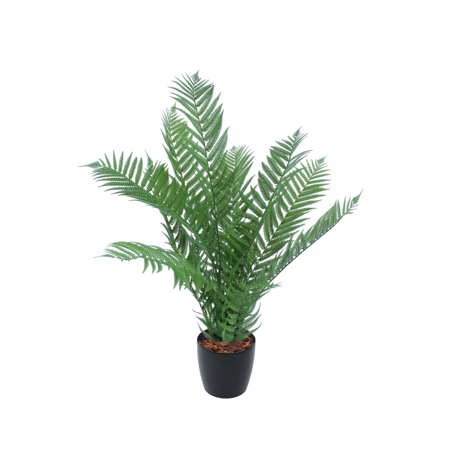 Fougère arborescente artificielle