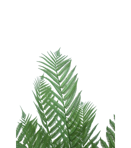 Fougère arborescente artificielle