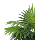 Palmier artificiel mini