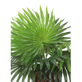 Palmier artificiel mini
