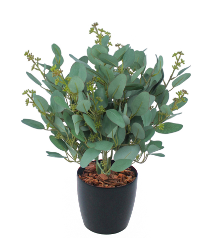 Eucalyptus gunnii artificiel en fleurs