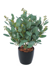 Eucalyptus gunnii artificiel en fleurs