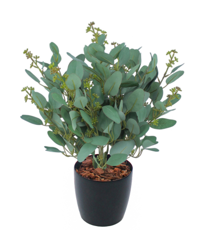 Eucalyptus gunnii artificiel en fleurs