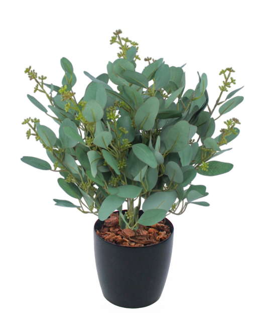 Eucalyptus gunnii artificiel en fleurs