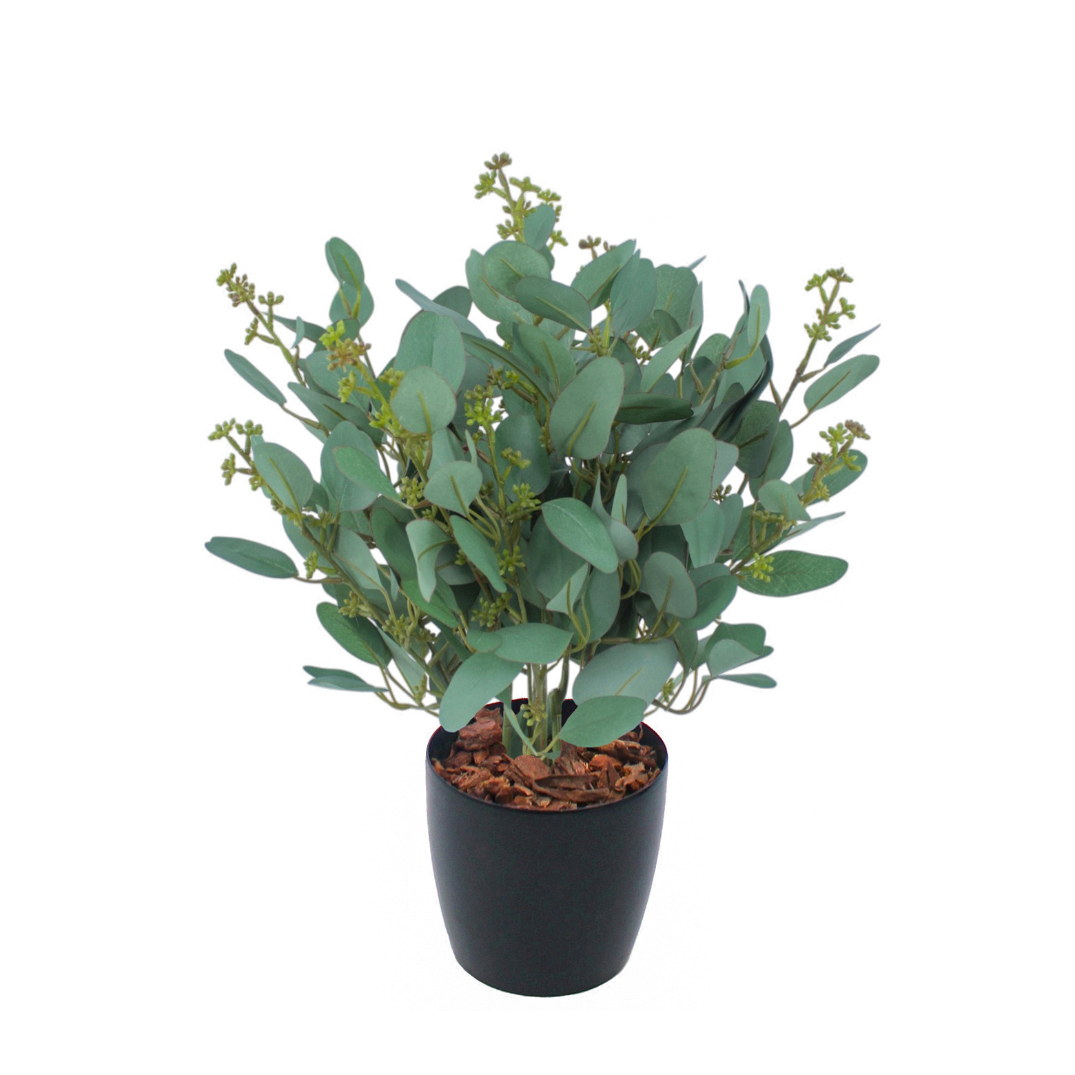 Eucalyptus gunnii artificiel en fleurs