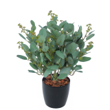 Eucalyptus gunnii artificiel en fleurs