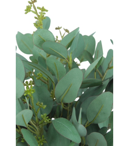 Eucalyptus gunnii artificiel en fleurs