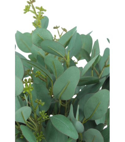 Eucalyptus gunnii artificiel en fleurs