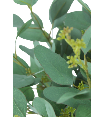 Eucalyptus gunnii artificiel en fleurs