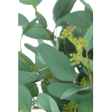 Eucalyptus gunnii artificiel en fleurs