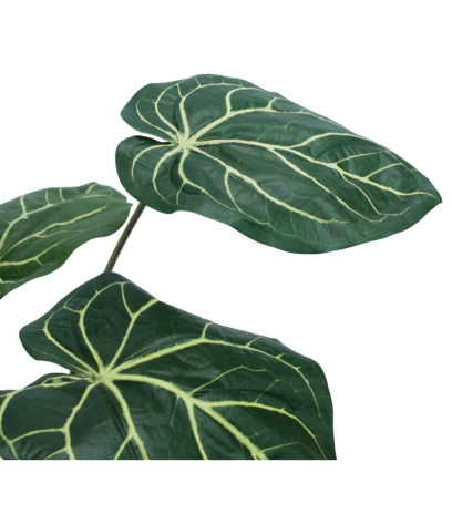Caladium artificiel