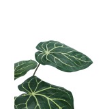 Caladium artificiel