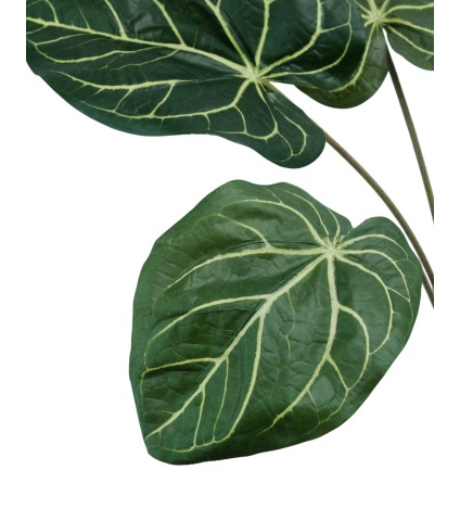Caladium artificiel