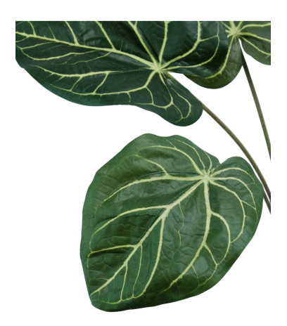 Caladium artificiel