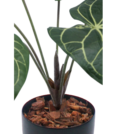Caladium artificiel