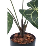 Caladium artificiel