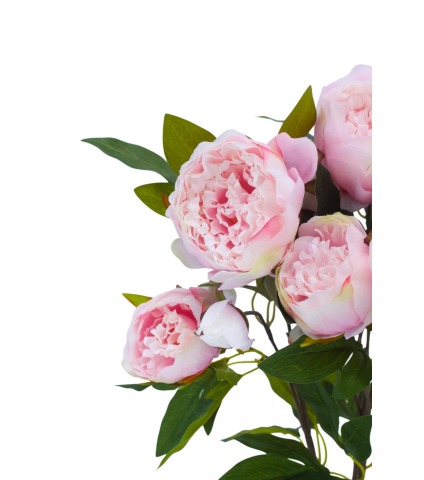 Pivoine de Chine artificielle