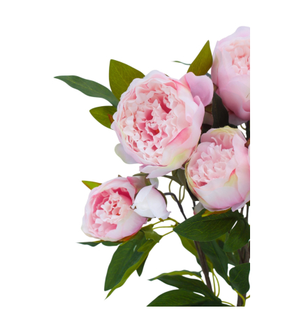 Pivoine de Chine artificielle