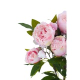 Pivoine de Chine artificielle