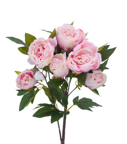 Pivoine de Chine artificielle