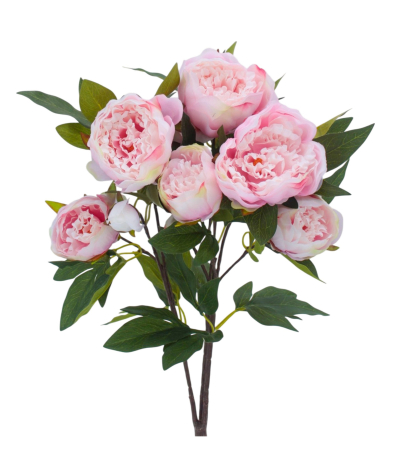 Pivoine de Chine artificielle