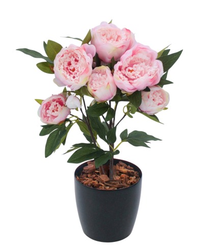 Pivoine de Chine artificielle