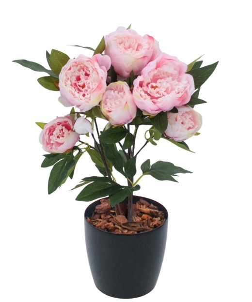 Pivoine de Chine artificielle