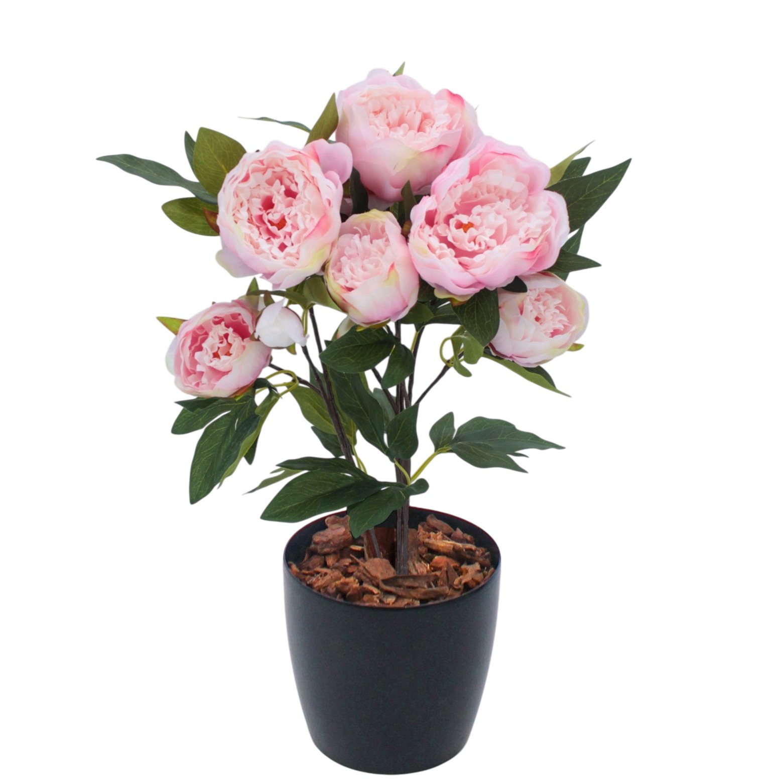Pivoine de Chine artificielle