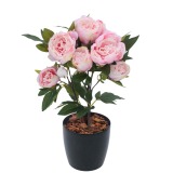 Pivoine de Chine artificielle