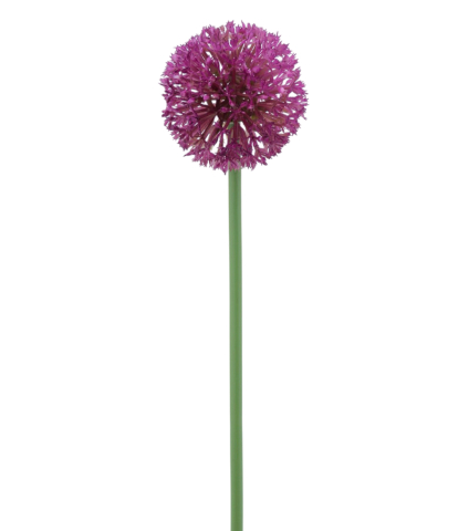 Allium artificiel rose fuchsia