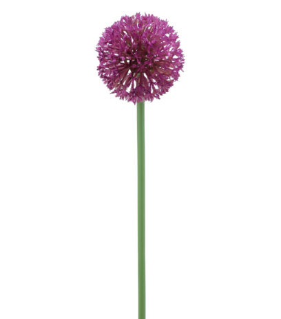 Allium artificiel rose fuchsia