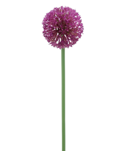 Allium artificiel rose fuchsia