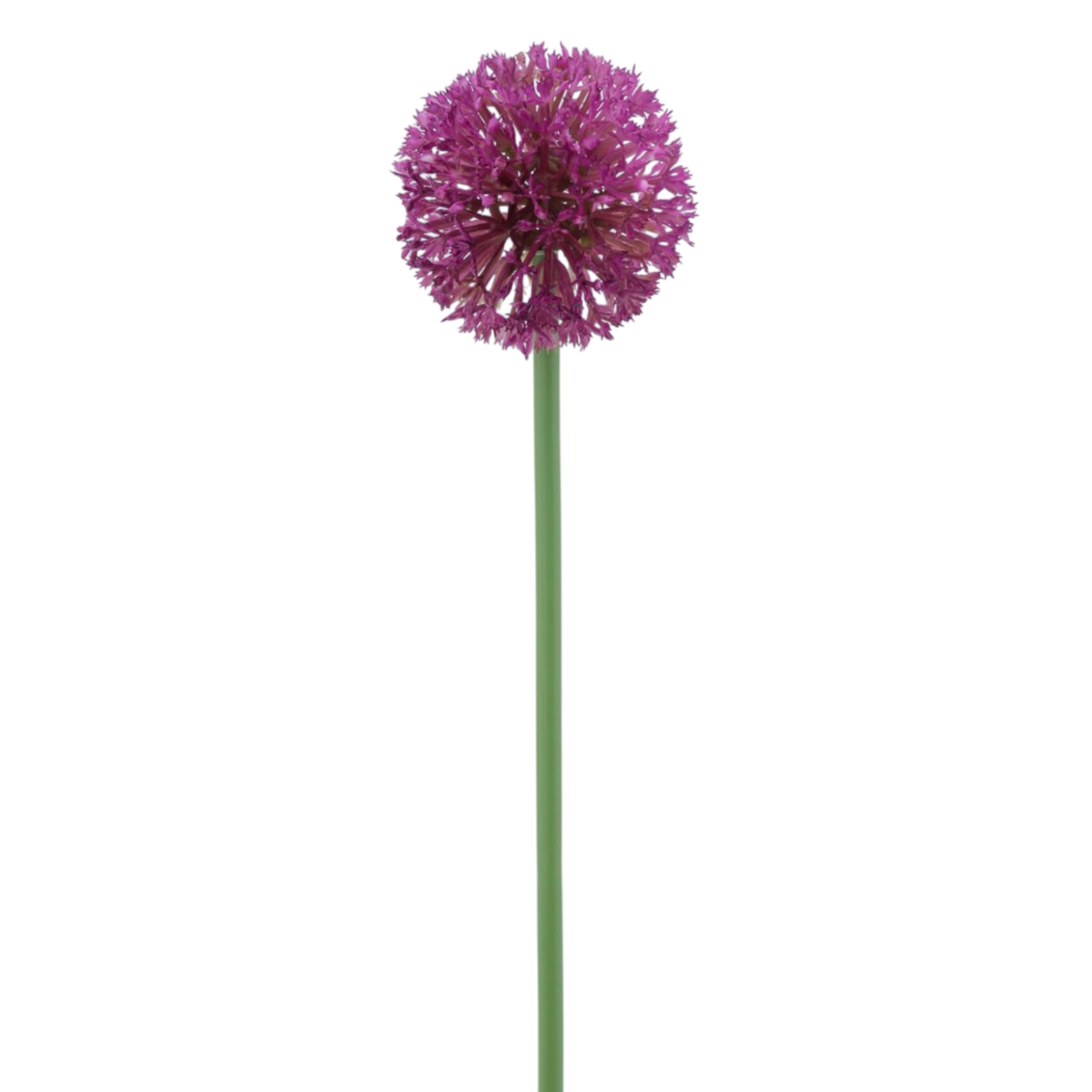 Allium artificiel rose fuchsia