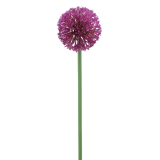 Allium artificiel rose fuchsia
