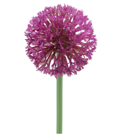 Allium artificiel rose fuchsia