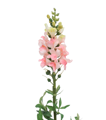 Muflier rose artificiel