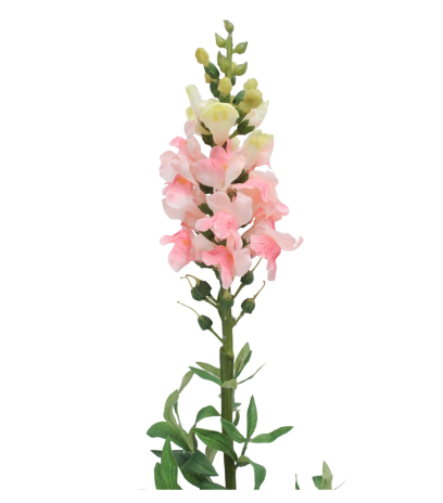 Muflier rose artificiel