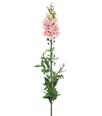 Muflier rose artificiel